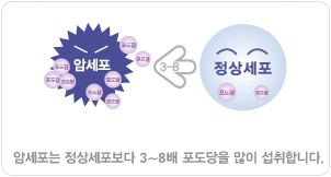 암세포는 정상세포보다 3~8배 포도당을 많이 섭취합니다.